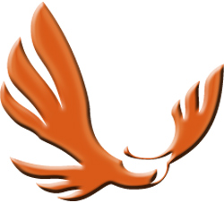 Aqion IT Services